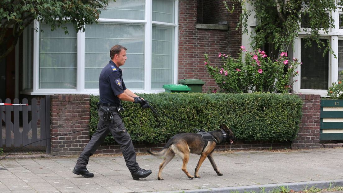 Politiehond