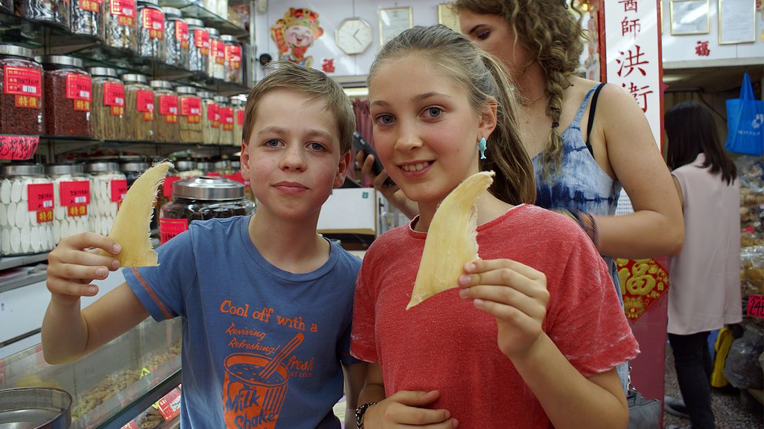 Haaien worden voornamelijk bedreigd voor hun vinnen.
