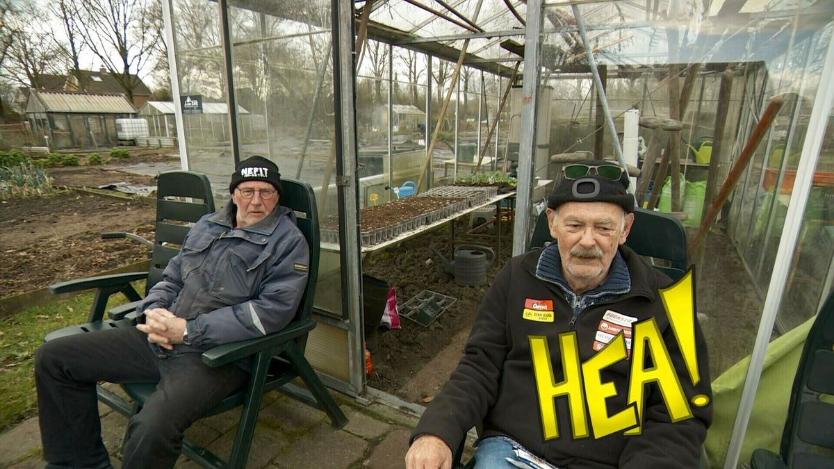 HEA! Wereldproblemen op de volkstuin