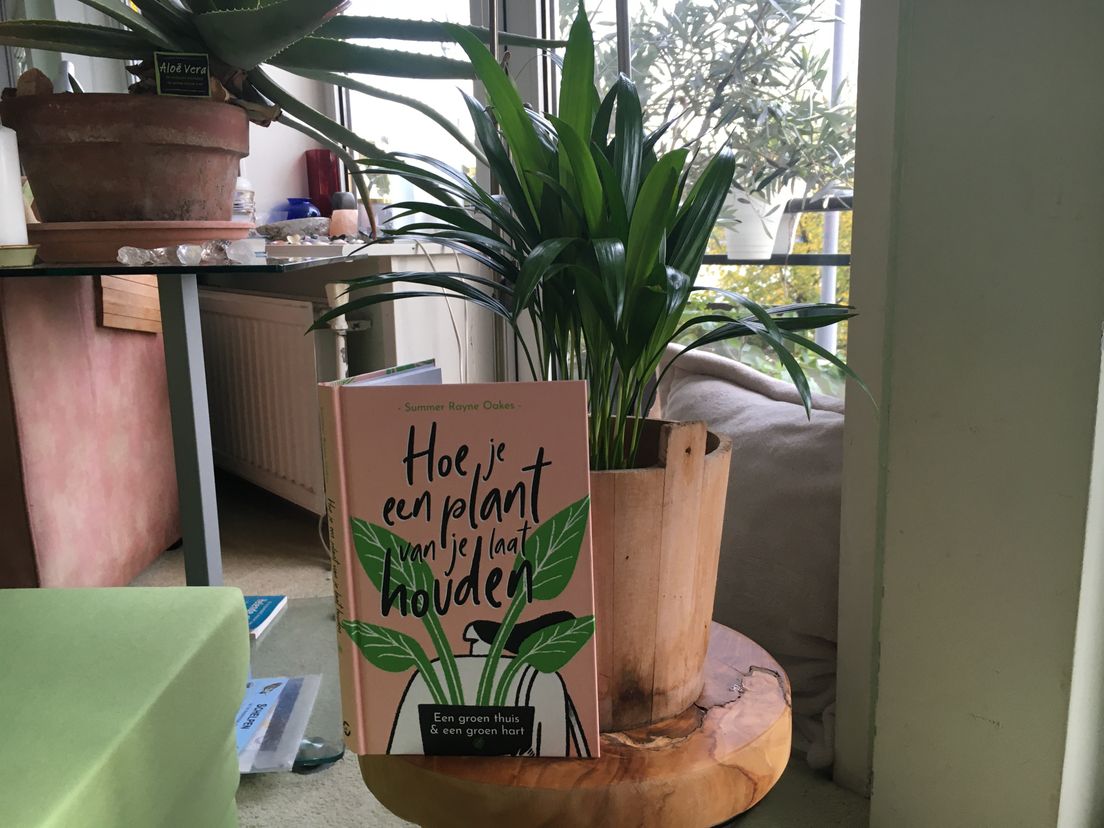 Hoe je een plant van je kunt laten houden