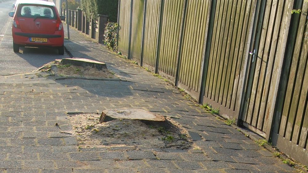 Rob van der Linden maakt zich boos over bomenkap in Heerlen - L1