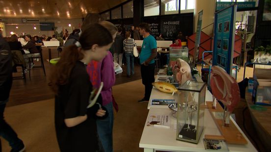 Minder studenten kiezen voor hoger onderwijs: het gaat om de centjes