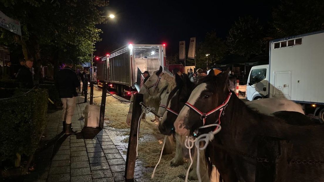 De eerste paarden en pony's worden aangevoerd