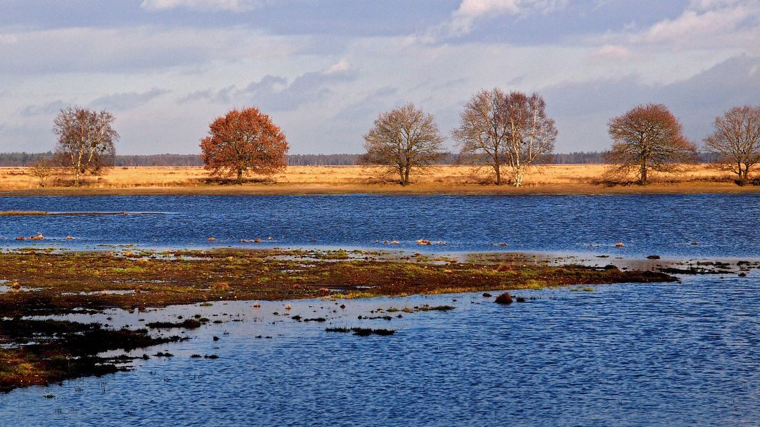 Dit weekend kun je meedoen met de laarzenexcursie door het Kloosterveld (Rechten: Free nature Images/Hans Dekker)