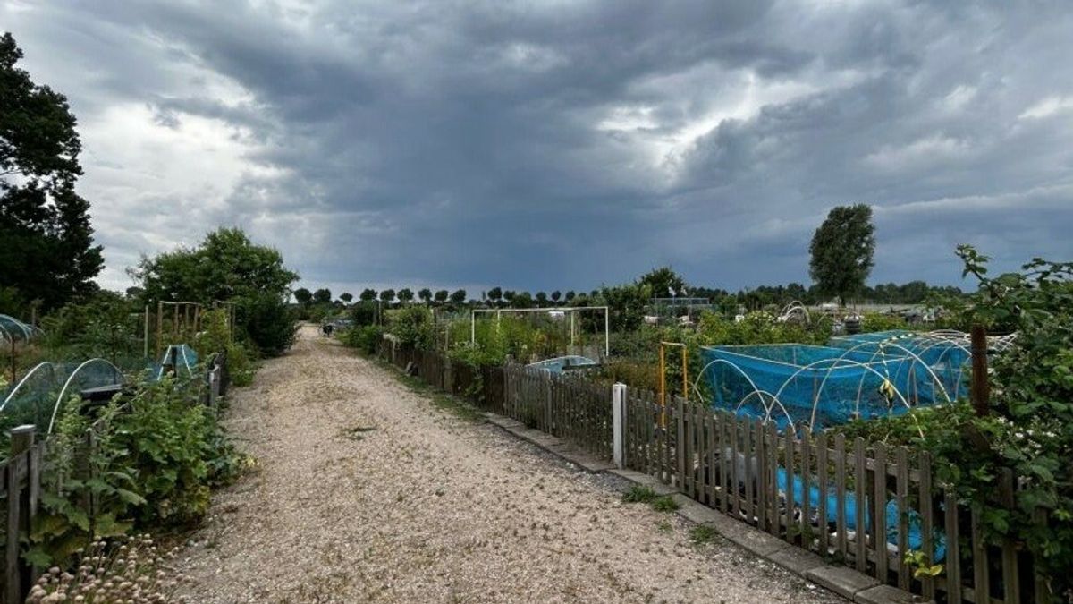 PFAS aangetroffen in volkstuinencomplex Koudekerke, maar geen sanering nodig