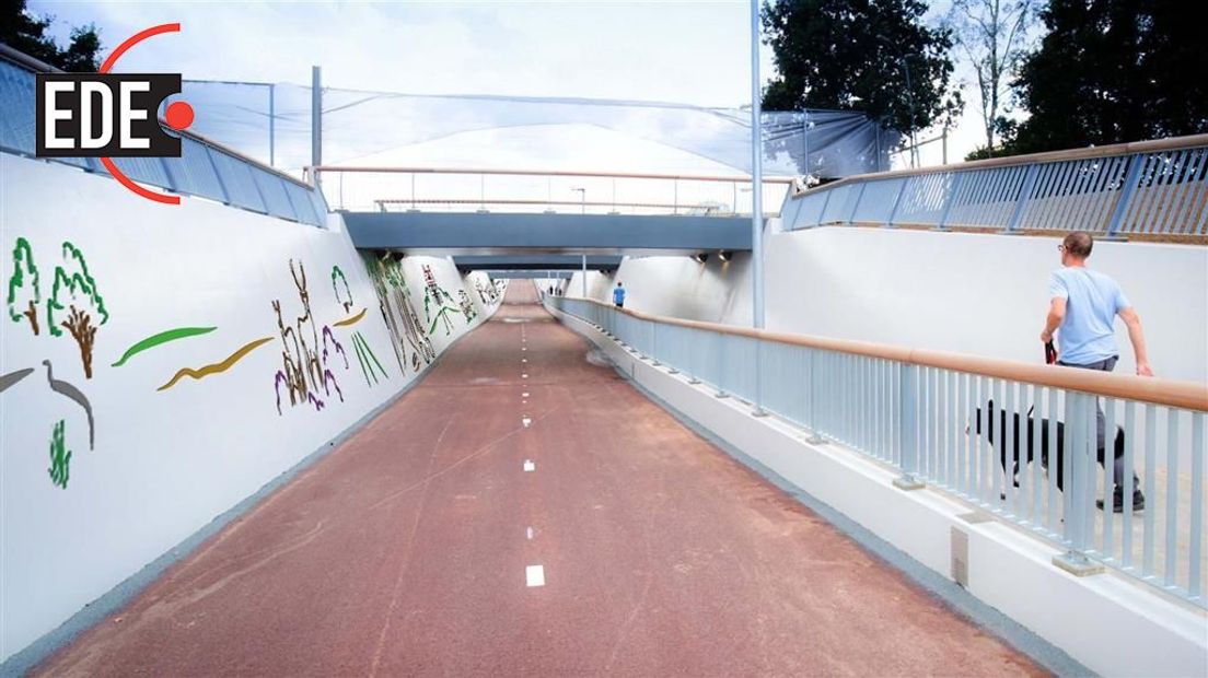 De Somatunnel wordt opgesierd met het kunstwerk Skylijn Ede van Paulien Tempelman en Heleen van Keulen. Bijna 900 mensen hebben afgelopen weken gestemd op één van de vijf voorgedragen ontwerpen. Uiteindelijk koos 41 procent voor Skylijn Ede.