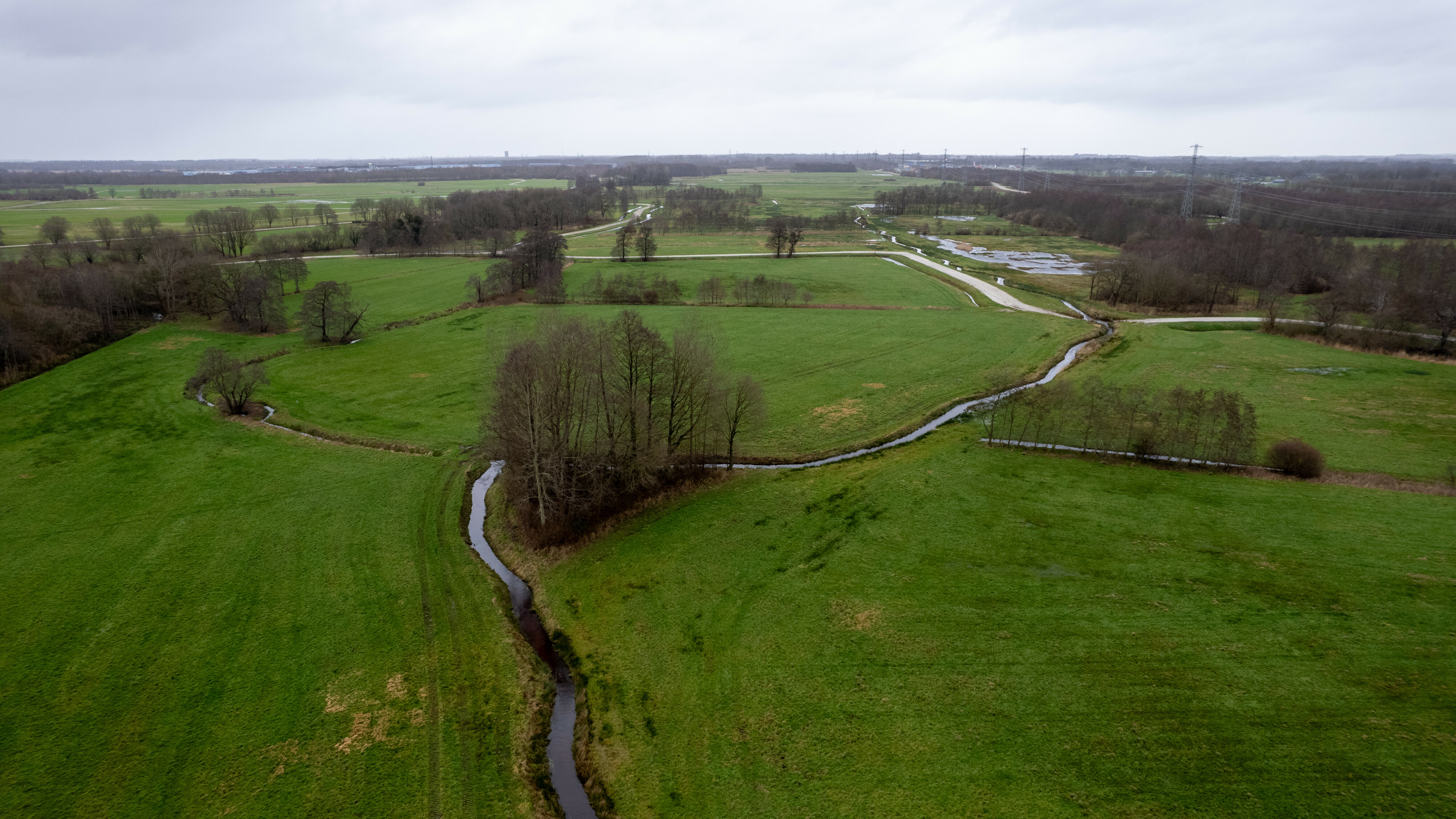 Defensie kijkt naar experiment van combinatie landbouw en oefenterrein bij De Haar