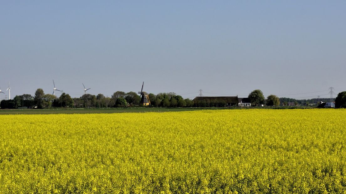 Borssele lag er gisteren zonnig bij