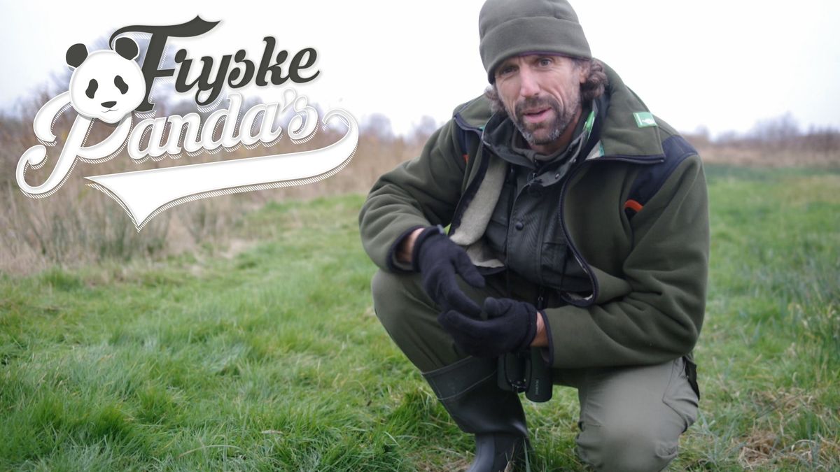Fryske Panda's: De otter in De Deelen bij Aldeboarn