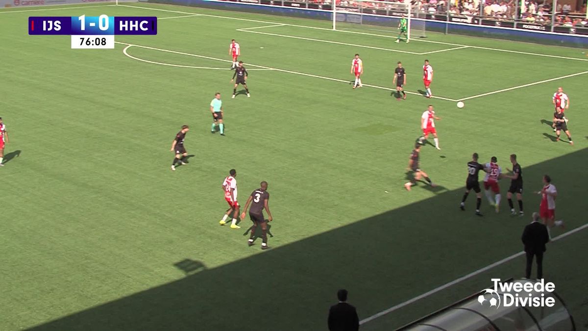 Samenvatting IJsselmeervogels - HHC Hardenberg