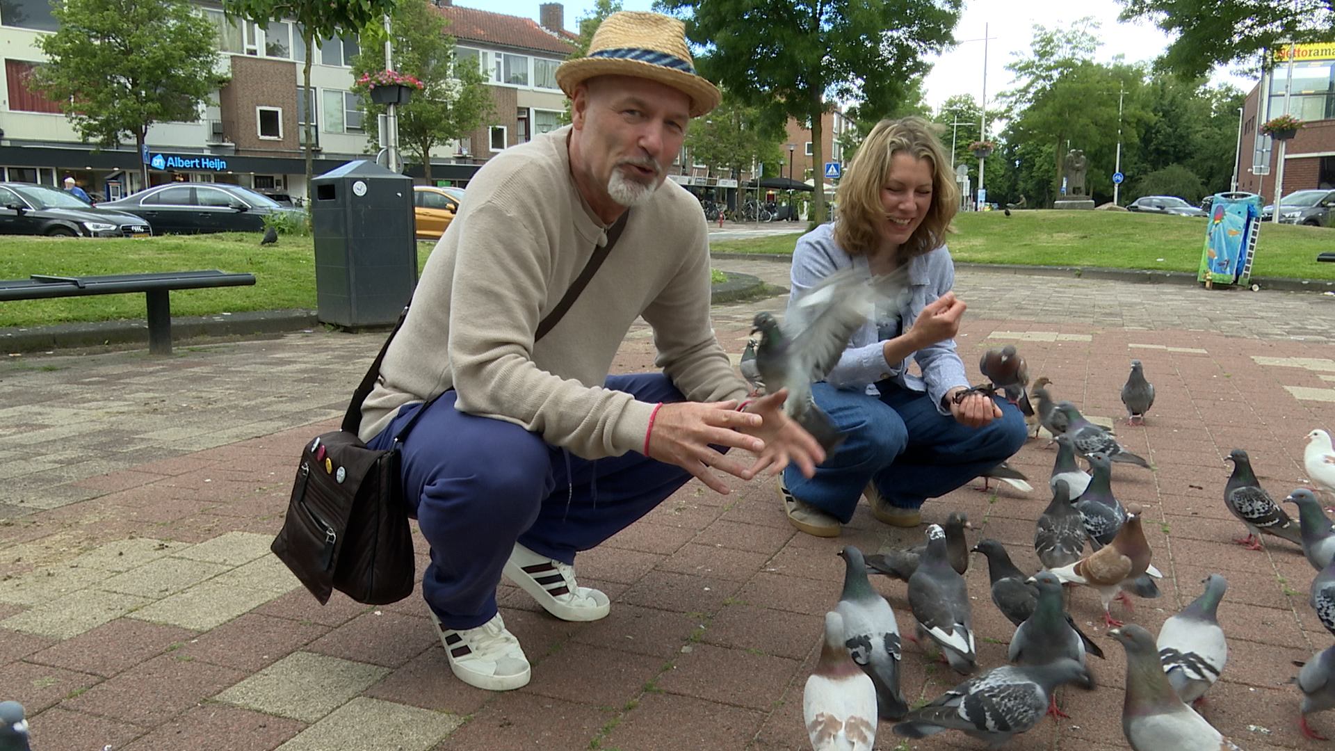 Eddy Zoëy over de stadsduif: onbemind, onbegrepen en ongelooflijk slim