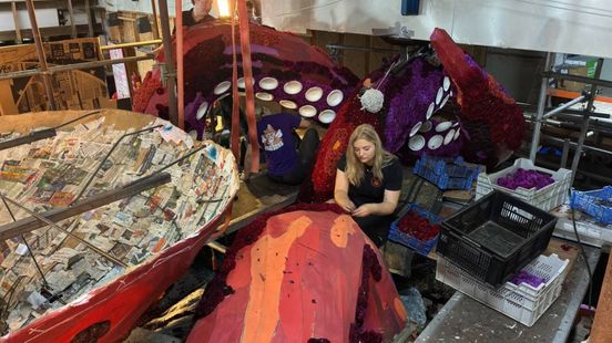 Spanning tot het laatste moment: corsowagen mist duizenden bloemen