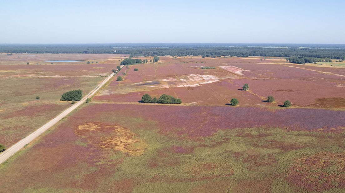 Nationaal park Dwingelderveld