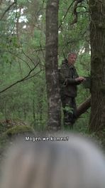 Vogel op het nest
