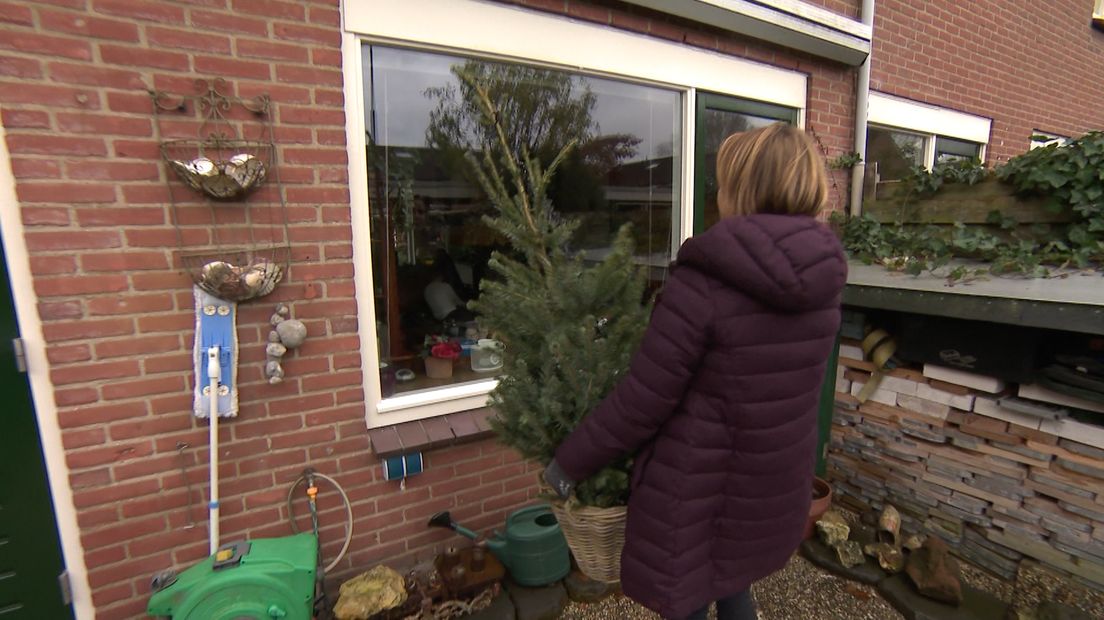 Marjan borninkhof schenkt haar ouders een Kerstboom. Zij leven met het levensmotto 'niet klagen maar dragen', terwijl er enorm veel verdriet in haar ouders schuilgaat.