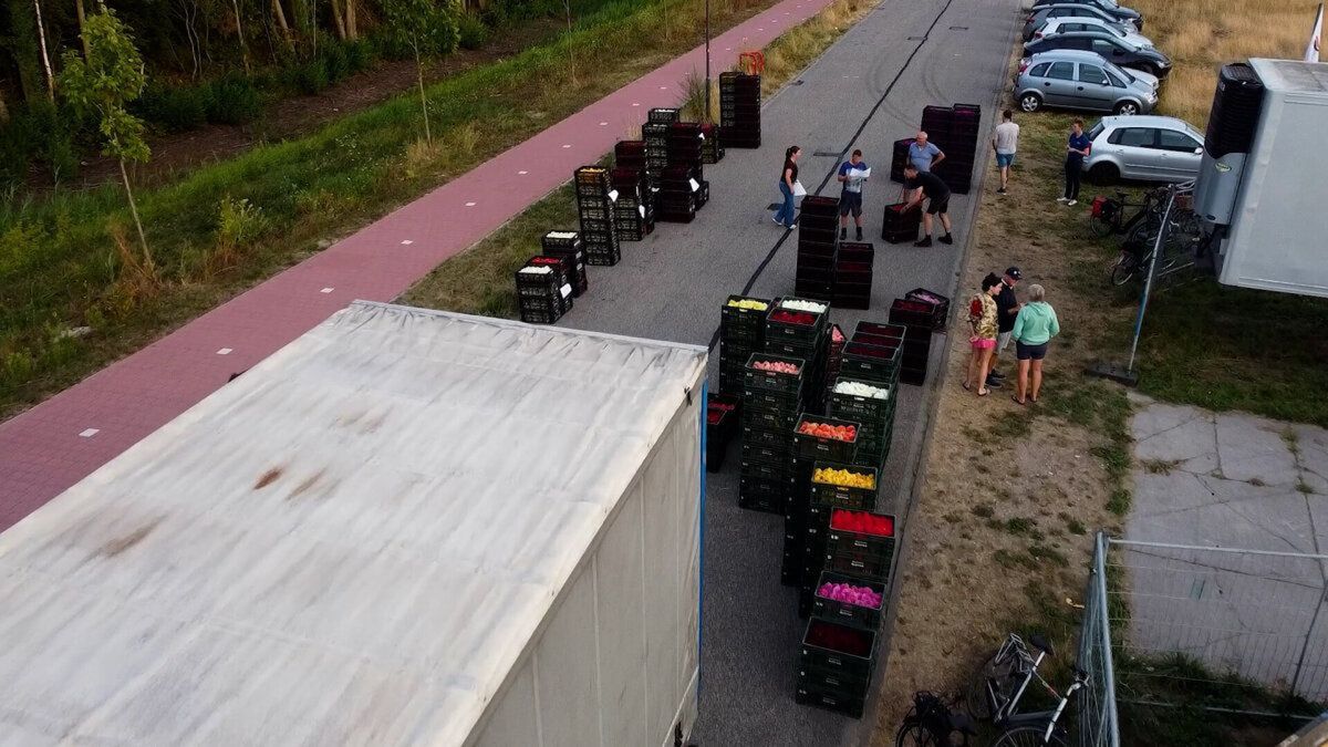 1600 kratten met bloemen: mega-operatie in Varsseveld