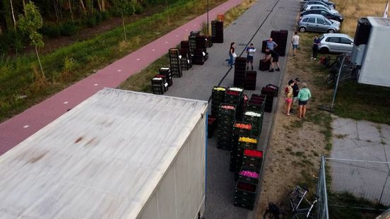 1600 kratten met bloemen: mega-operatie in Varsseveld