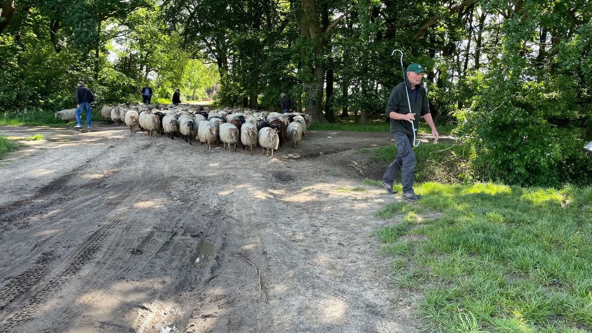 Wollige dames en heren in Exloo klaar voor eerste dag met zonder jas