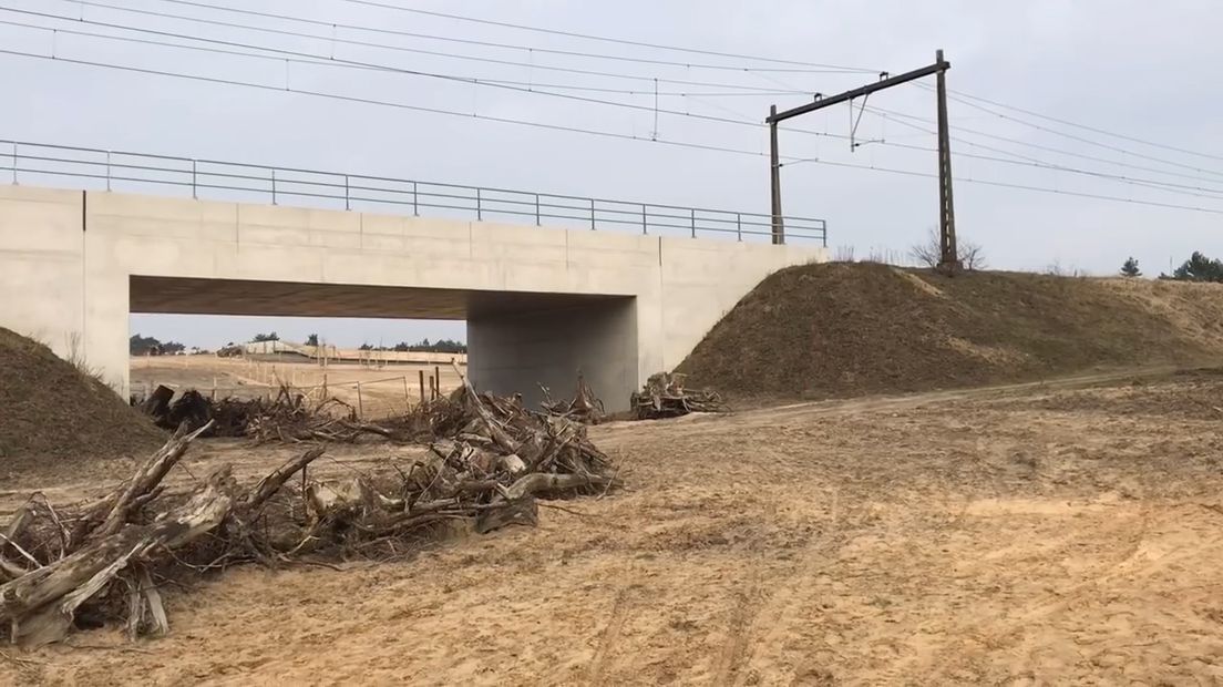 Goed nieuws voor mens en natuur: de faunapassage Kootwijkerzand is vrijdag geopend. Dat betekent dat dieren veilig onder het spoor tussen Amersfoort en Apeldoorn kunnen en over de snelweg A1. Op het spoor zijn jaarlijks meerdere aanrijdingen met wild.