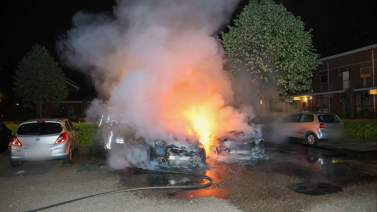 Meerdere auto's in vlammen op in Zeist
