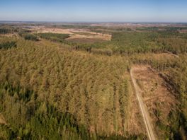 Fietspaden Drents-Friese Wold op de schop, gemeenteraad verdeeld over plan