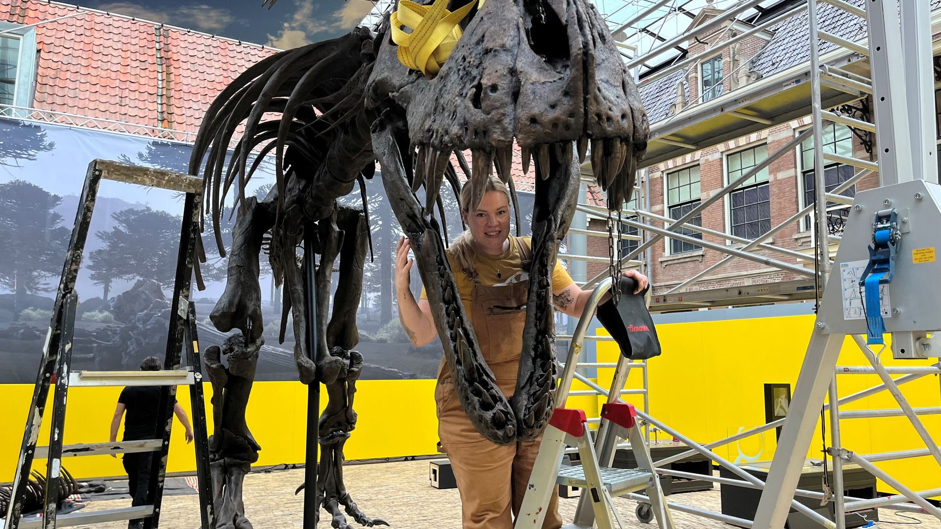 De T. rex
