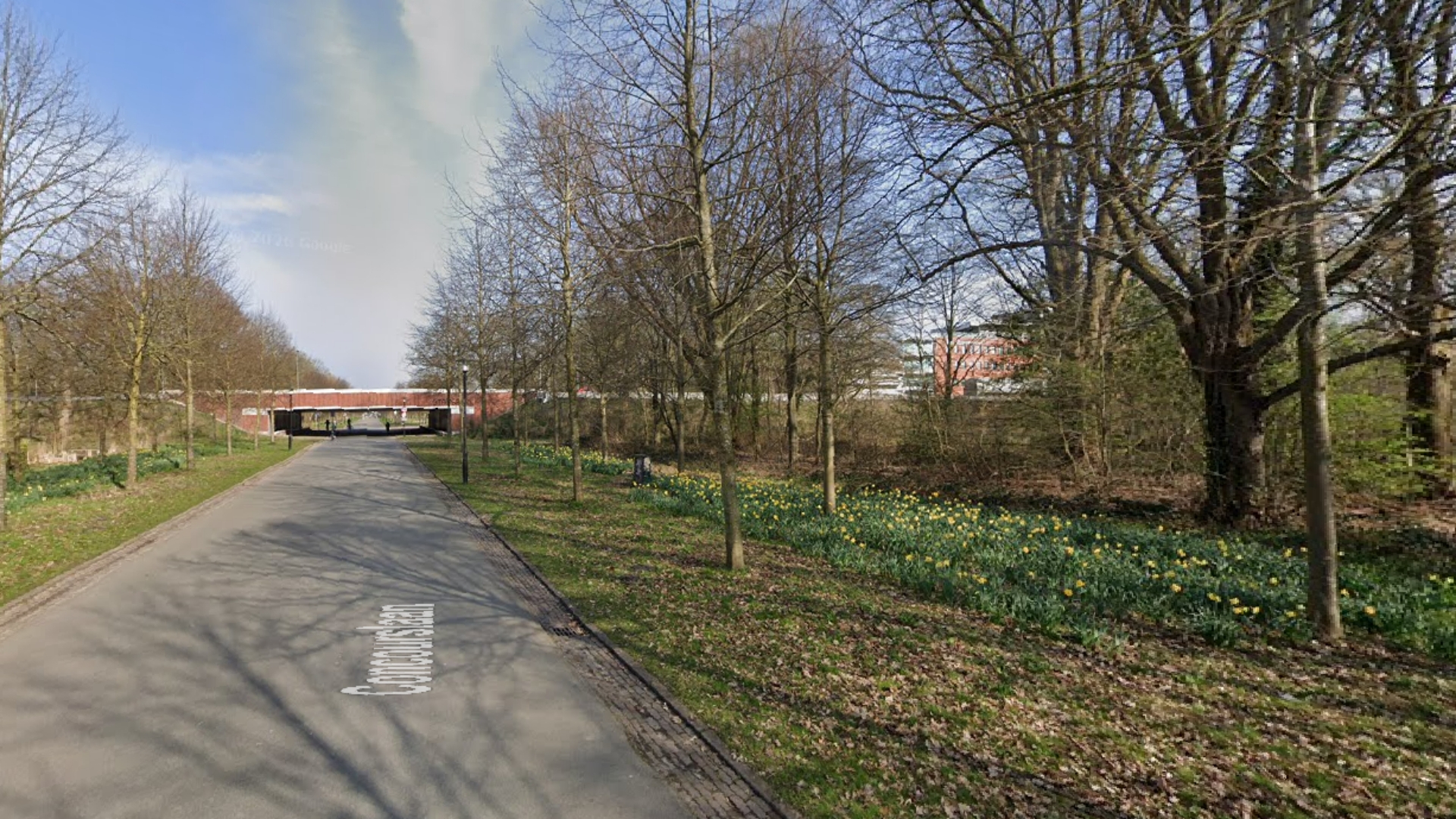 Man mishandeld na Helden van Oranje in Stadspark, slachtoffer zoekt filmende getuigen