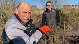 Vele handen maken licht werk in Damster stadstuin