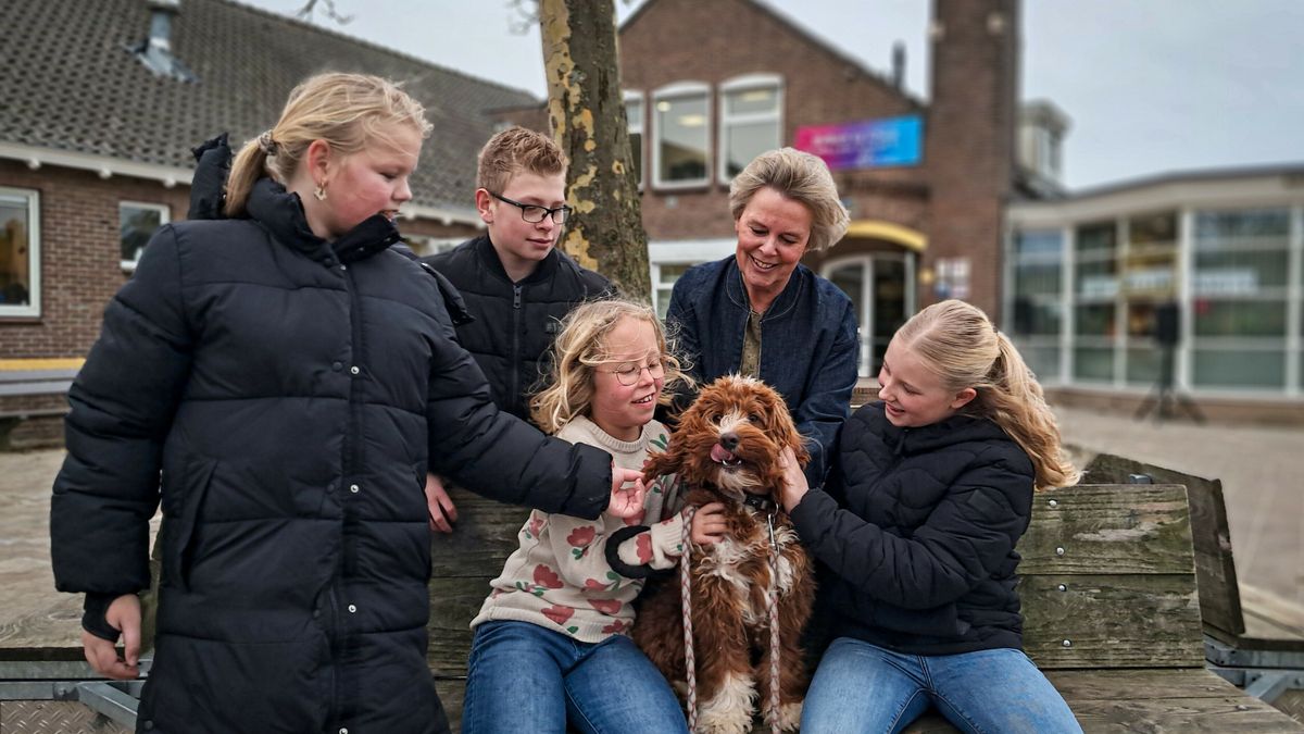Schoolhond Pelle verovert harten in Hoogeveen: ‘Hij brengt rust en troost’