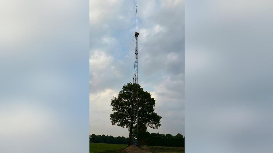 De illegale zendmast in Albergen
