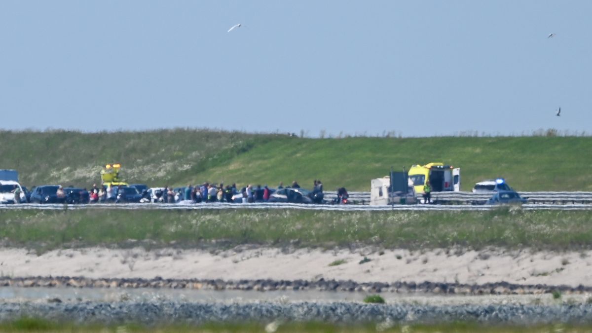 Motorrijder gewond na ongeluk bij Franeker | Dakbrand schoolgebouw Wolvega snel onder controle