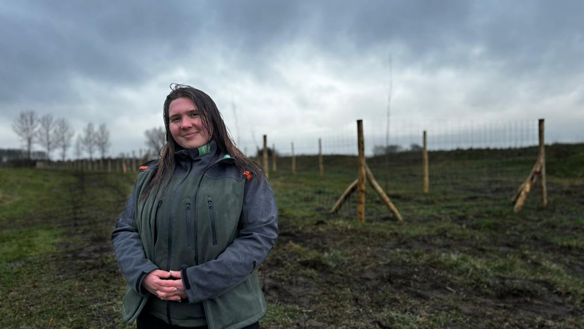 Achter dit hoge hek groeit straks een compleet nieuw bos, aanplanten in volle gang