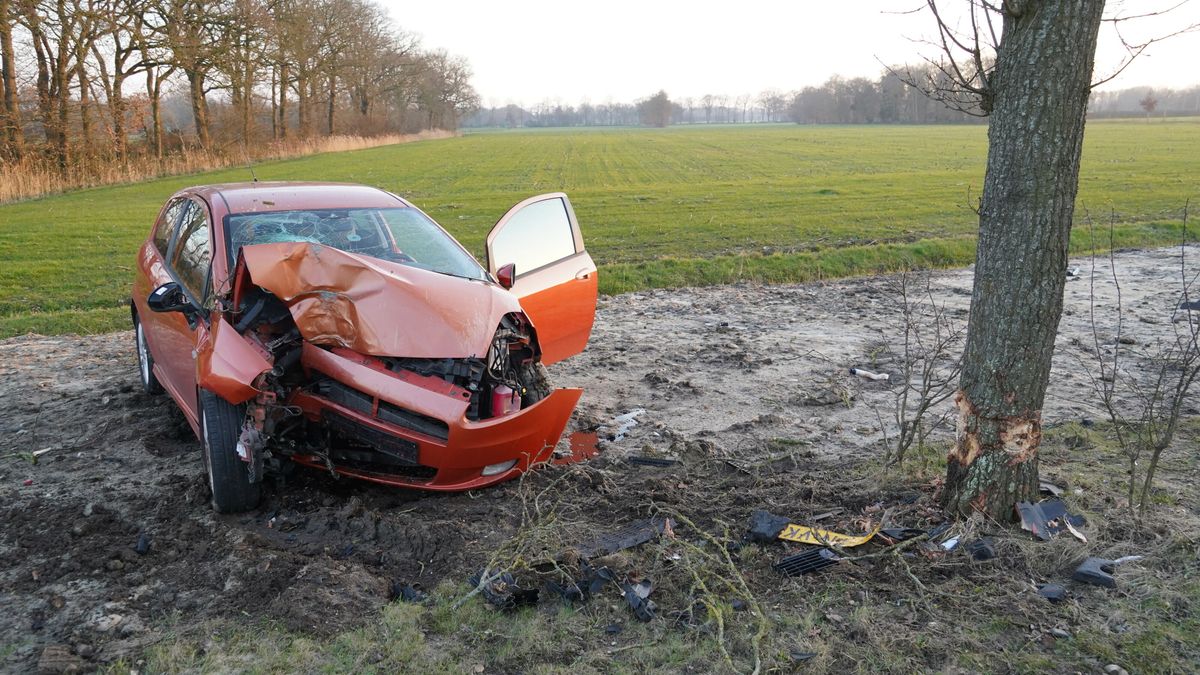 Auto knalt tegen boom in Peize