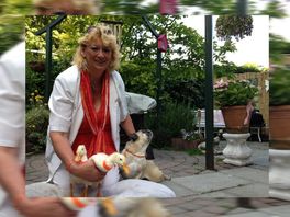 Mevrouw Pronk uit Rijswijk laat haar eenden uit op straat