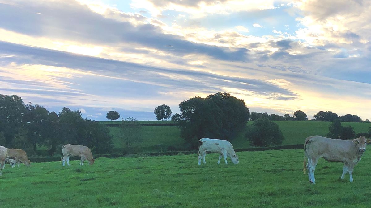 Limburg Kiekt: Afferden, Grathem, Schinveld en...