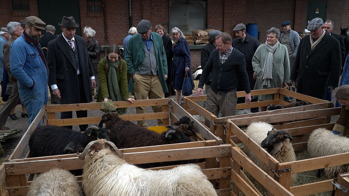 Filmproductie Hanna van Hendrik zoekt figuranten