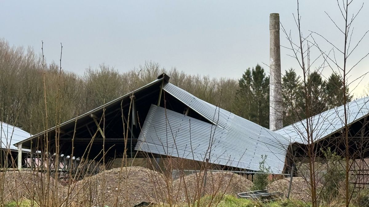 Vervallen kassen moeten plaatsmaken voor luxe villa's in Eelderwolde