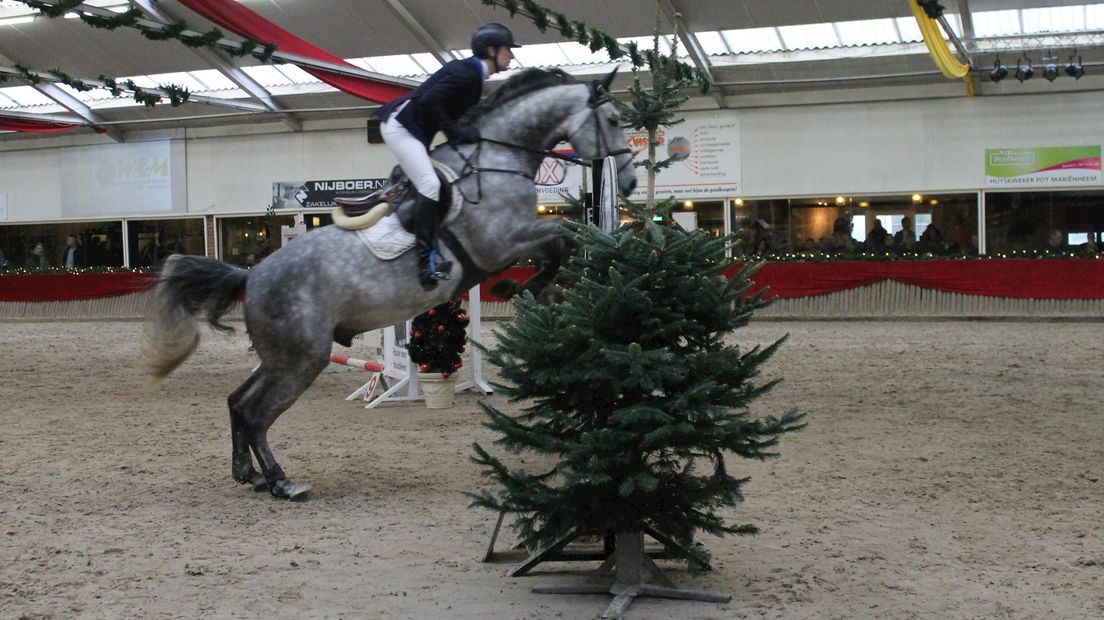 Sallandse Ruiterdagen 2014