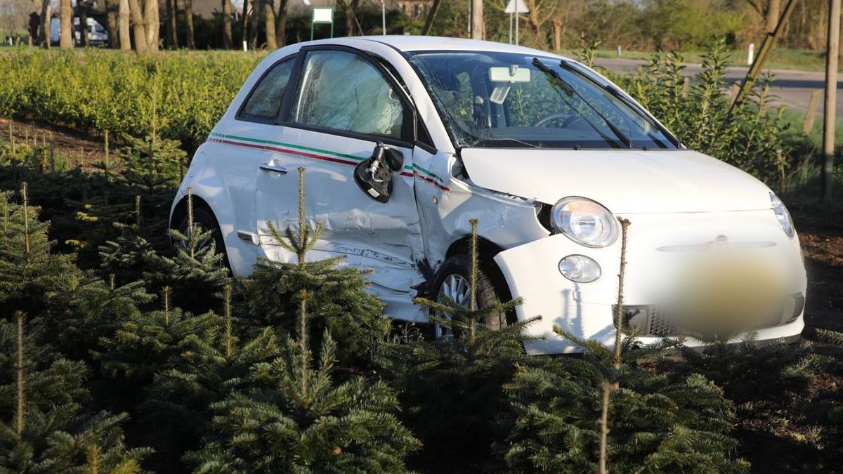 Bewoner gewond bij woningbrand • ongeluk op A50
