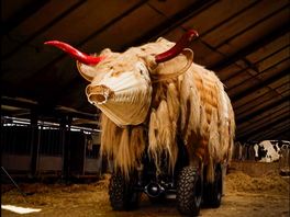 Voorstelling Koelonie zorgt voor duurzame reuring: 'Dit smaakt naar meer'