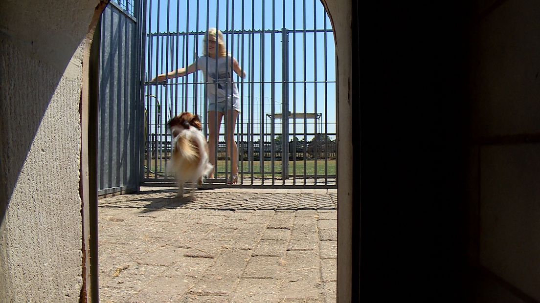 Kleindochter Zoë roept haar favoriete logeerhond naar het speelveldje