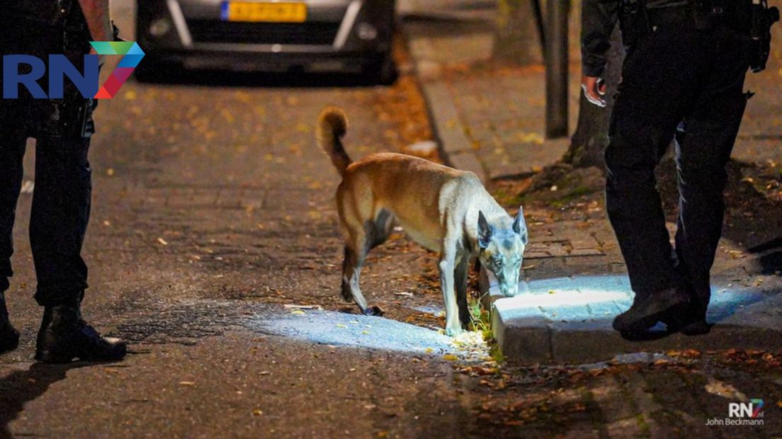 Speurhond aan het werk