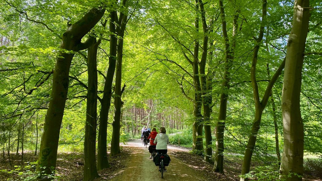 Fietsen er straks Spanjaarden en Italianen door de bossen van de Veluwe