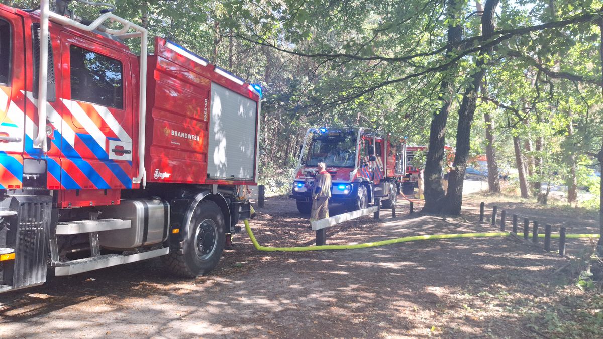 Kleine bosbrand in Soest snel onder controle