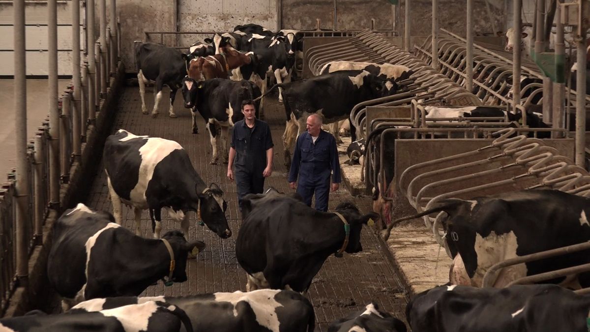 ?Zoon Henk Brink in voetsporen vader? 'Ik denk dat hij wel een kloon is'