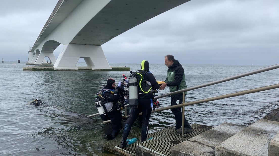 De duikers krijgen het aquariumpje overhandigd en stappen het water in