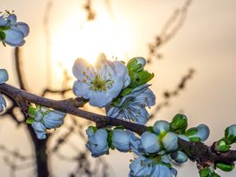 Grote kans op warm en zonnig weer tijdens Pasen