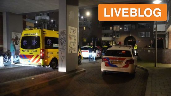 Twee aanhoudingen na steekincident in Arnhem • Zwaar ongeval bij afrit A50. Twee aanhoudingen na steekincident in Arnhem • Zwaar ongeval bij afrit A50.