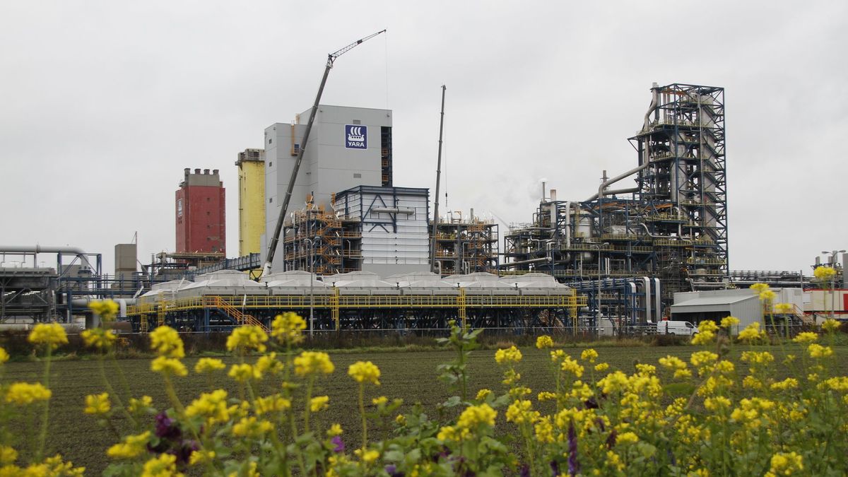 Europa's grootste CO₂-afvanginstallatie? Die staat gewoon in Sluiskil