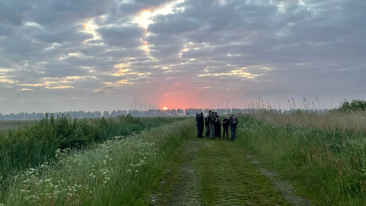 Dauwtrappen op Hemelvaart in de natuur tussen Exloo en Buinen